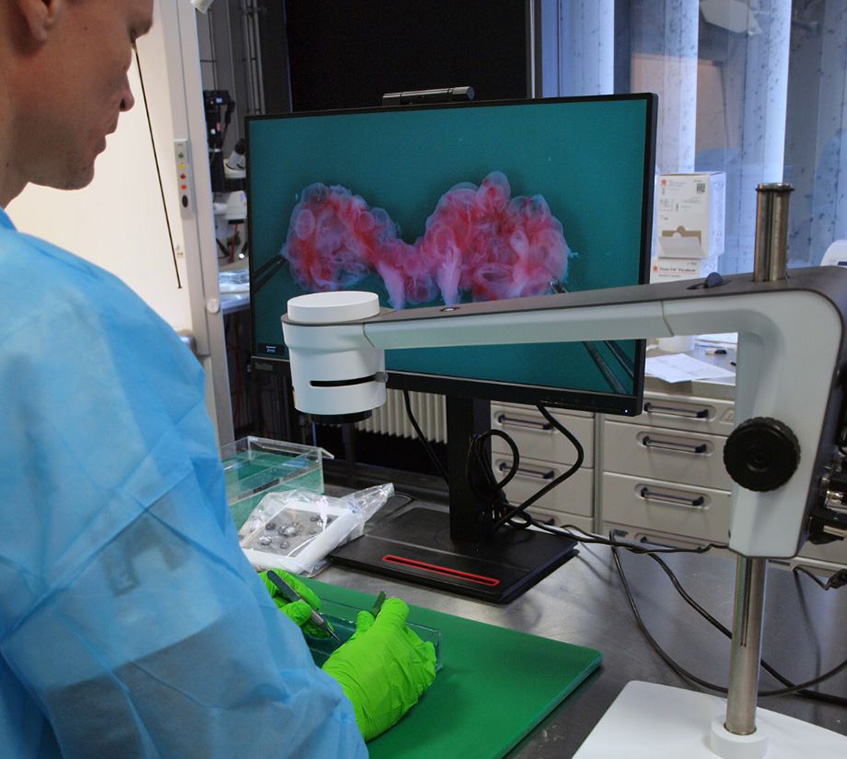 Digitale TAGARNO Mikroskope für die Pathologie